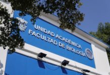 El Niño podría beneficiar las lluvias y presas de Sinaloa, según experto