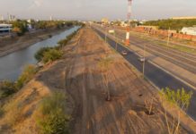 Culiacán impulsa la arborización en el Eje Federalismo