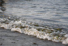 Secretaría de Marina identifica tres fuentes de derrame de hidrocarburo en el Golfo de México