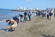 Más de 2,450 elementos se movilizan por derrame de hidrocarburos en el Golfo de México