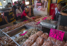 Fraude en la venta de pescado en México alcanza un alarmante 38 %