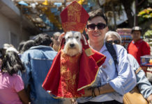Tradición en Nicaragua: Fieles rinden homenaje a San Lázaro con sus mascotas