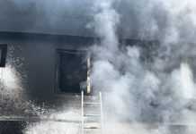 Trágico incendio en San Juan de Aragón deja saldo de tres perros fallecidos