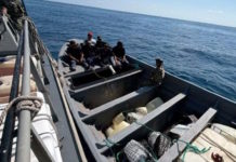 Operativo en Michoacán: Éxito en la lucha contra el narcotráfico