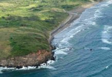 Semarnat asegura que no hay impacto en arrecifes de Veracruz tras derrame