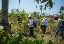 Crisis de derechos humanos y desapariciones en México, alerta AI