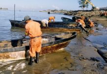 Recuperan casi 900 toneladas de hidrocarburo en playas del Golfo de México