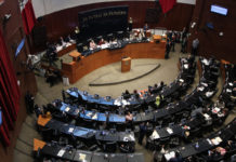 Senado de México impulsa reforma para unificar el feminicidio a nivel nacional