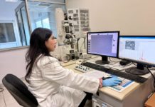 Innovación ecológica en la construcción: Cementos híbridos de la UAS