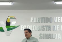El Partido Verde Fortalece su Estructura en Sinaloa