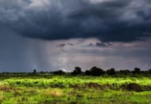 Expectativas de lluvias significativas en Sinaloa para 2026