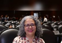 Diputada Graciela Domínguez demanda revisión de tarifas eléctricas