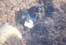 Cae el Jardinero, líder del CJNG tras 19 meses de seguimiento