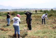 Descubren 53 indicios forenses en lagos de Tláhuac y Chalco