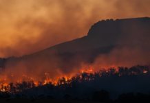 Estudio alerta sobre aumento de mortalidad en México por cambio climático