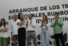 Partido Verde competirá solo en San Luis Potosí para las elecciones de 2027