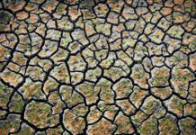 Próxima Conferencia Internacional sobre Educación en Cambio Climático en México