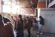 Afluencia alta en líneas del Metro de CDMX este 28 de abril