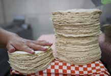 Aumento en precios de tacos y tamales por el alza de la tortilla