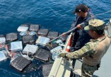 Operativo en Chiapas desmantela cargamento de cocaína