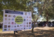 Estudiantes de Veterinaria presentan innovadora muestra gastronómica