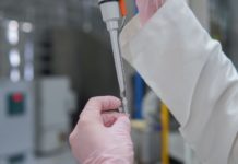 Alerta por Vigilancia Epidemiológica en México ante Brotes Internacionales de Hantavirus