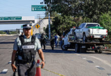 Análisis de ONG sobre reducción de homicidios en México: Advertencias y consideraciones