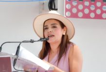 Grecia Quiroz critica modificaciones a candidaturas independientes en Michoacán