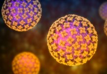 Estados Unidos supervisa a 41 personas por contacto con hantavirus
