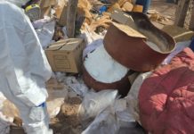 Desmantelan red de narcolaboratorios en Nayarit y Jalisco