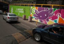 La transformación de la Ciudad de México en ajolote: un reflejo de la crisis ambiental