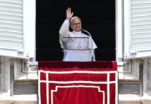 Papa León XIV insta a priorizar el medioambiente en tiempos de conflicto