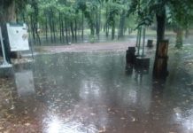 Confirmada la reapertura del Parque Viveros de Coyoacán