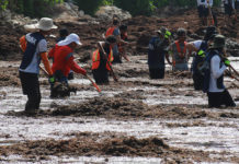 Impacto del Sargazo en la Salud de los Recolectores en Quintana Roo