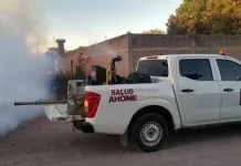 Fumigación preventiva en Ahome: estrategia de salud ante presencia de plaga de moscos