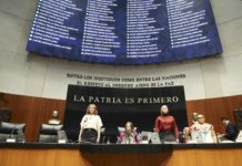 Senado aprueba reforma para anular elecciones ante intervención extranjera