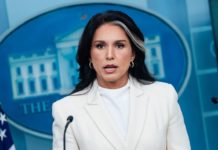 Tulsi Gabbard deja su cargo como directora de Inteligencia Nacional en medio de desafíos personales