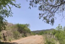 Encuentran a tres hombres sin vida en Tepuche, Sinaloa