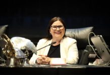 Imelda Castro presenta licencia al Senado por motivos personales