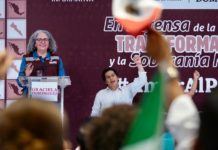 Graciela Domínguez aclara el inicio del proceso en Morena