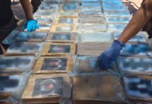 Desmantelan operación de narcotráfico en el puerto de Manzanillo
