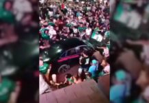 Atropello masivo en festejos del Mundial en Cabo San Lucas deja 17 heridos