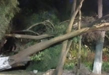 Alerta Amarilla por Vientos Fuertes en Seis Alcaldías de la CDMX