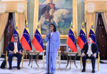 Colombia impulsa la interconexión eléctrica con Venezuela desde Vichada