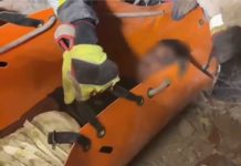 Rescate Heroico de un Niño en Venezuela por el Ejército Mexicano