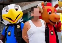 Ingeniosa intervención policial en Perú: Agentes se disfrazan de mascotas del Mundial