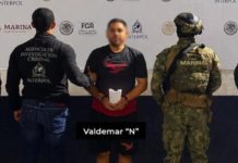 Aprehendido Valdo, operador del Cártel del Golfo en Colima