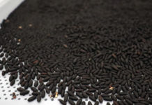 Nueva Planta de Moscas Estériles en Chiapas Potencia Reapertura Fronteriza con EE.UU.