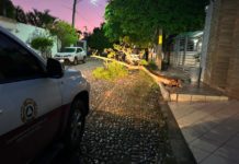 Intensas ráfagas de viento generan múltiples emergencias en Culiacán