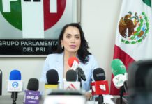 Investigaciones Previas a la Reinstalación de Rubén Rocha: Diputada Opina